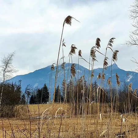 Elisabeth Apartament