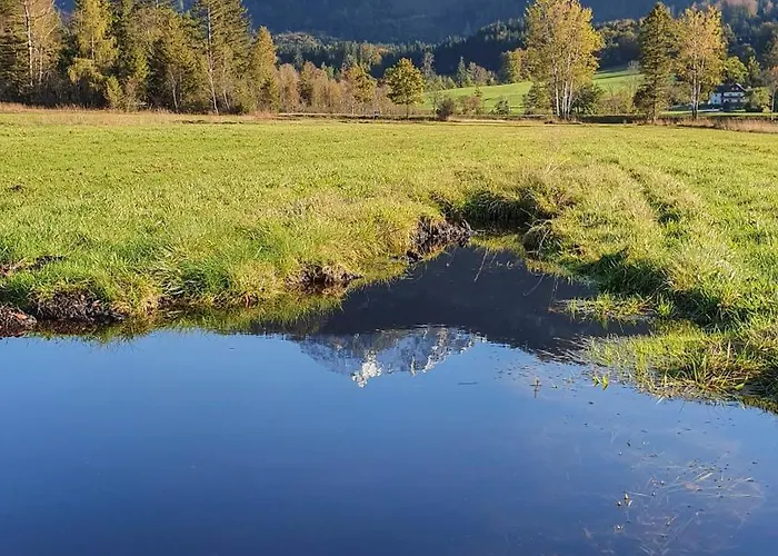 Elisabeth شتروبل